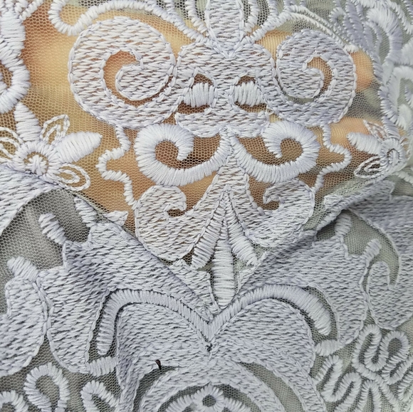 Embroidered Lace dress by Chi Chi London! - Picture 8 of 11